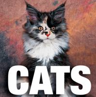 Gatti 8854400769 Book Cover