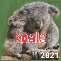 koala Calendar 2021: 16 Month Wall & Office Calendar, Koalas For Kids, Girls Wall Calendar 2021 B08MWCZK82 Book Cover