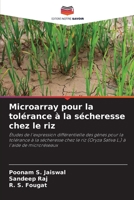 Microarray pour la tolérance à la sécheresse chez le riz 6205956918 Book Cover