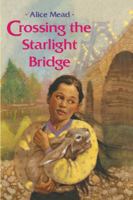 Crossing the Starlight Bridge (Aladdin Fiction) 1416989641 Book Cover