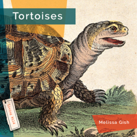 Tortoises 1682771679 Book Cover