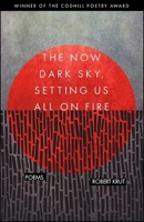 The Now Dark Sky, Setting Us All on Fire: Poems 1949933032 Book Cover