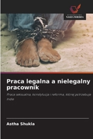 Praca legalna a nielegalny pracownik (Polish Edition) 6630196457 Book Cover