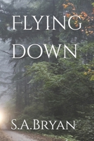 Flying down B0C2SG68N6 Book Cover