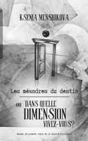 Les méandres du destin: ou DANS QUELLE DIMENSION VIVEZ-VOUS? (French Edition) B0CQM9FN5K Book Cover