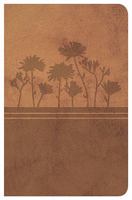 Biblia Clásica Edición Especial: Cenizo 1602552584 Book Cover