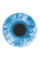 We Are The American Zombies: blue 1519557981 Book Cover