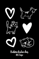 Katzenkalender - 365 Tage -: Gleitender Katzenkalender für ein komplettes Jahr (2020/21) mit tollen Katzenillustrationen. Jahres-, Monatsübersicht und ... Seiten. A5 klein I Softcover (German Edition) 1710648880 Book Cover