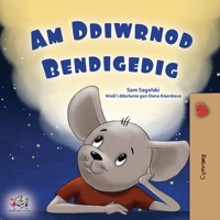 A Wonderful Day (Welsh Book for Children) (Welsh Bedtime Collection) 1525975277 Book Cover