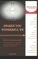 Awaken you wonderful we: How do we create heaven on earth? The secret of one page table reveal all the real causes of all phenomena and problems 1549843524 Book Cover