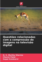 Questões relacionadas com a compressão de imagens na televisão digital (Portuguese Edition) 6209907989 Book Cover