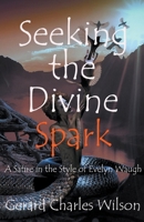 Seeking the Divine Spark B0CFC1J4TG Book Cover