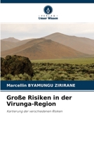Große Risiken in der Virunga-Region: Kartierung der verschiedenen Risiken 6204163116 Book Cover