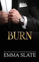 Burn 1955098700 Book Cover