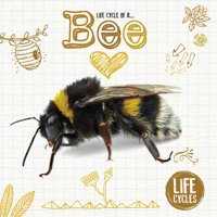 Honeybee 1786376482 Book Cover