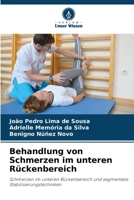 Behandlung von Schmerzen im unteren Rückenbereich: Schmerzen im unteren Rückenbereich und segmentale Stabilisierungstechniken B0CH28XZGH Book Cover