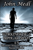 Workings of A Bipolar Mind 1-3 Omnibus: The Inner Mind of Someone With Bipolar Disorder B0BR91RY1R Book Cover