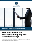 Das Verfahren zur Massenkündigung des Arbeitsvertrags (German Edition) 6209323308 Book Cover