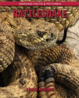 Rattlesnake: Amazing Facts & Pictures B088BJD2YV Book Cover