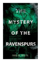 The Mystery of the Ravenspours: The Black Valley 8027336554 Book Cover