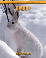 Rabbit: Amazing Photos and Fun Facts about Rabbit B092PG44YY Book Cover