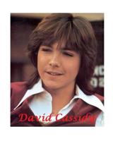 David Cassidy 0464114888 Book Cover
