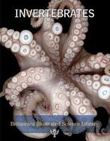 Invertebrates 159339392X Book Cover