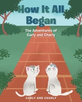 How it All Began 163860343X Book Cover