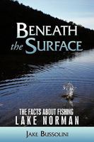 Beneath the Surface 1449033016 Book Cover