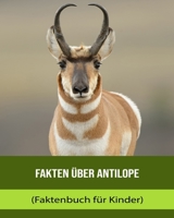 Fakty o Antylopa (Fakty Książka dla dzieci) B0BXNF2N6F Book Cover
