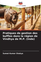 Pratiques de gestion des buffles dans la région de Vindhya de M.P. (Inde) (French Edition) 6207767837 Book Cover