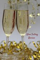 Wine Tasting Review: Your place to record your likes and dislikes of wine tasting 1074052412 Book Cover