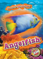 Angelfish 1644875020 Book Cover