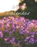 2020 Calendar: Monthly 2020 Calendar Closeups of Nature, Closeup at Sunset Cover 1691452688 Book Cover