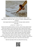 דְּבָרִים: דבר תורה לפרשת 1387410113 Book Cover