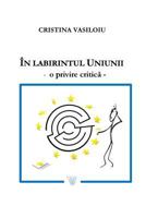 In Labirintul Uniunii: O Privire Critica 1546337687 Book Cover
