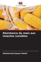 Résistance du maïs aux insectes nuisibles (French Edition) 6209255914 Book Cover