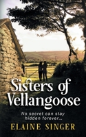 Sisters of Vellangoose 1803812974 Book Cover
