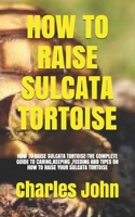 How to Raise Sulcata Tortoise: How to Raise Sulcata Tortoise: The Complete Guide to Caring, Keeping, Feeding and Tipes on How to Raise Your Sulcata Tortoise B08Y65484M Book Cover