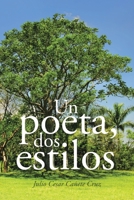 Un poeta, dos estilos null Book Cover