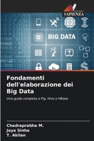 Fondamenti dell'elaborazione dei Big Data (Italian Edition) 6207011775 Book Cover