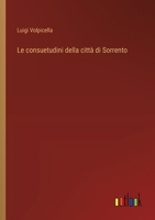 Le consuetudini della città di Sorrento (Italian Edition) 3385089573 Book Cover