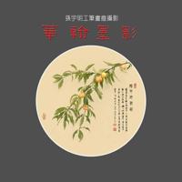 Yuming Sun's Chinese Pictorial Photography 1537166840 Book Cover