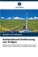 Kohlendioxid-Entfernung aus Erdgas: Entfernung von Kohlendioxid aus Erdgas durch nasse Wäsche unter Verwendung von Natriumverbindungen 6203360031 Book Cover