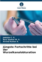Jüngste Fortschritte bei der Wurzelkanalobturation (German Edition) 6207963458 Book Cover