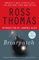 Briarpatch 0671530089 Book Cover