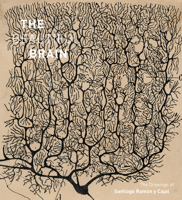 Beautiful Brain: The Drawings of Santiago Ramon y Cajal 1419722271 Book Cover