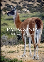 PATAGONIA - Sulle tracce di Chatwin: Sulle tracce di Chatwin (Italian Edition) 1326045202 Book Cover