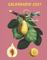 Calendario 2021: Mensile 2021 Calendario illustrato della frutta B08LP6SV1K Book Cover