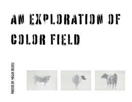 An Exploration In Color Field B0CQKLDPXZ Book Cover